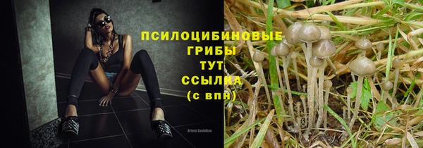 каннабис Аркадак